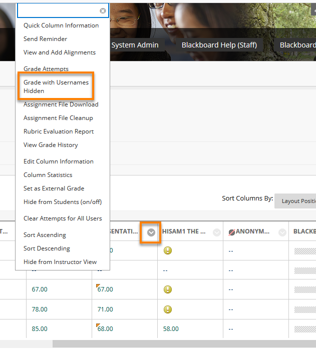Column drop down menu showing Grade all users hightlighted