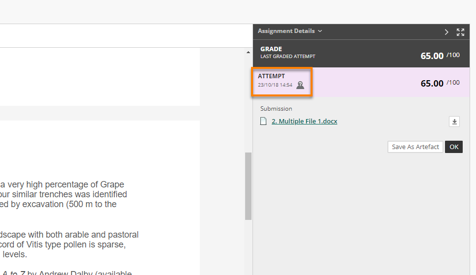 Student view of Review submission with anonymously marked icon